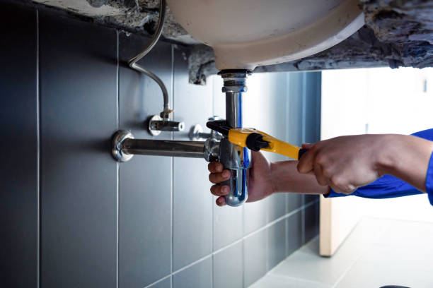 Best Plumbing System Maintenance  in Farmer City, IL